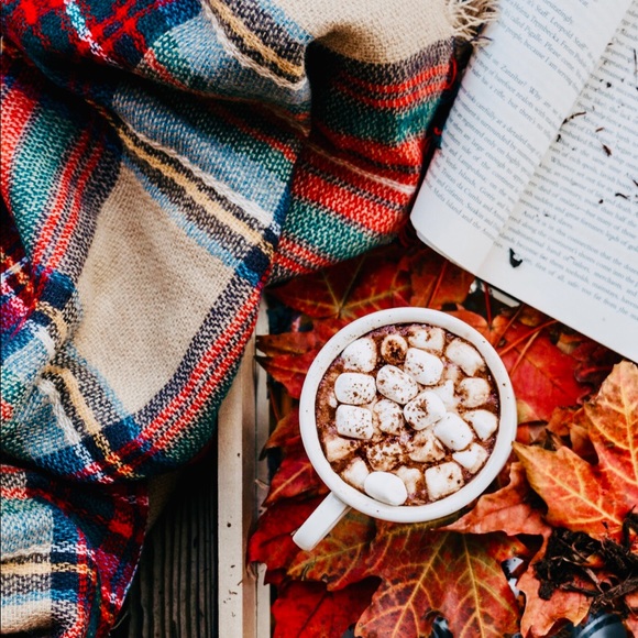 Meet your Posher, Ardita - Picture 1 of 1